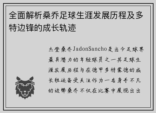 全面解析桑乔足球生涯发展历程及多特边锋的成长轨迹