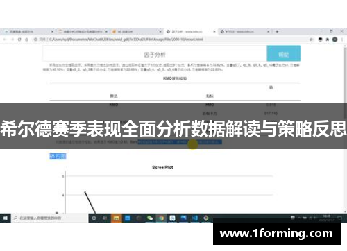 希尔德赛季表现全面分析数据解读与策略反思