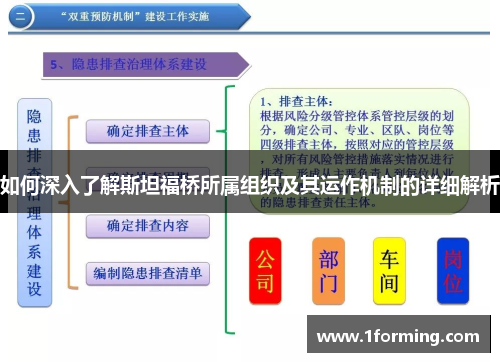 如何深入了解斯坦福桥所属组织及其运作机制的详细解析