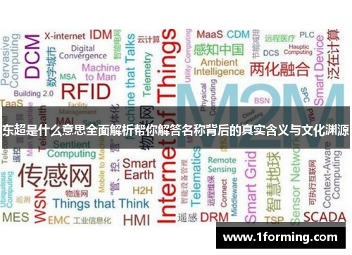 东超是什么意思全面解析帮你解答名称背后的真实含义与文化渊源